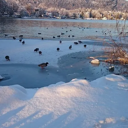 Ferienparadies Gutounik شقة فندقية